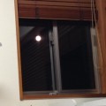 家でお月見してます。