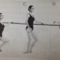 バレエの姿勢と武道の姿勢について。